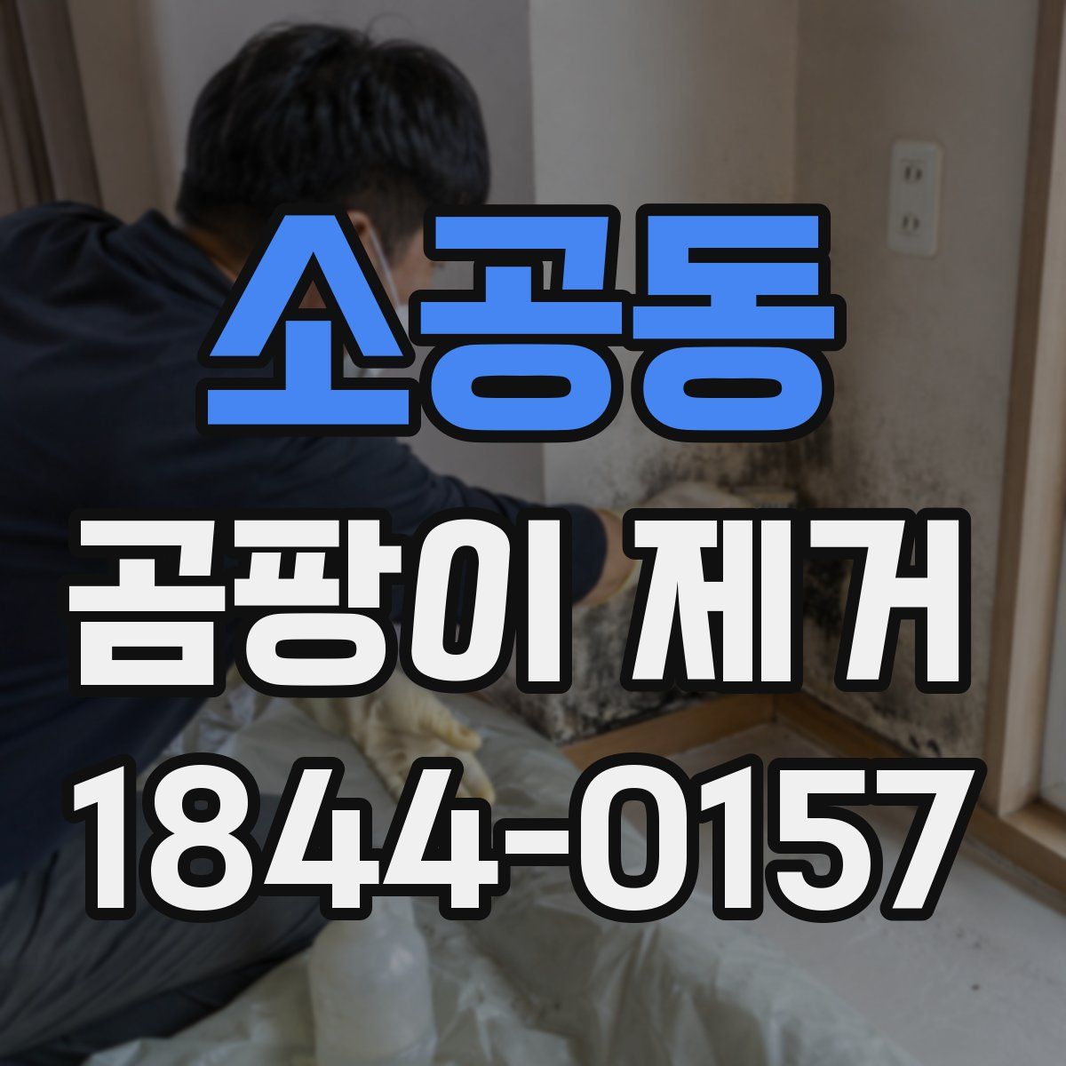 소공동 곰팡이 제거