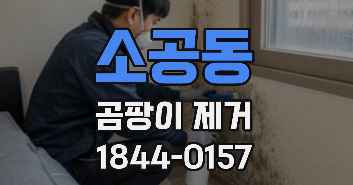 소공동 곰팡이 제거