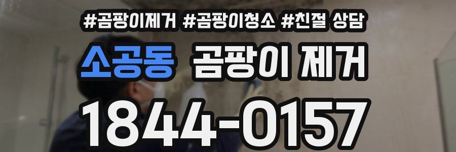 소공동 곰팡이 제거