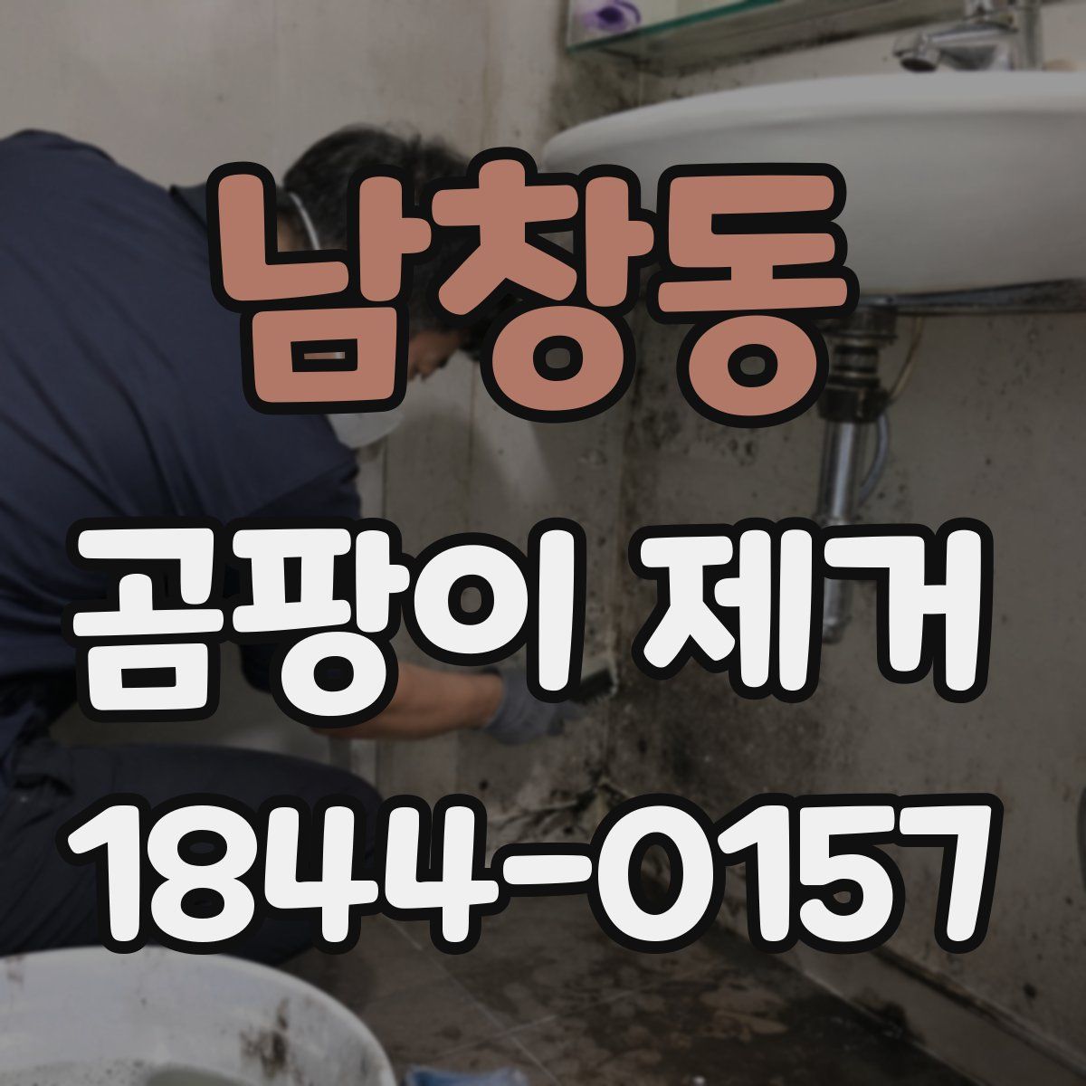 남창동 곰팡이 제거