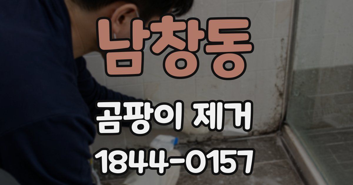 남창동 곰팡이 제거