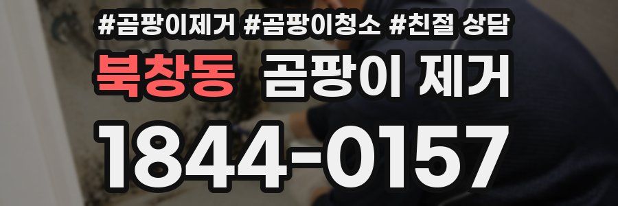 북창동 곰팡이 제거