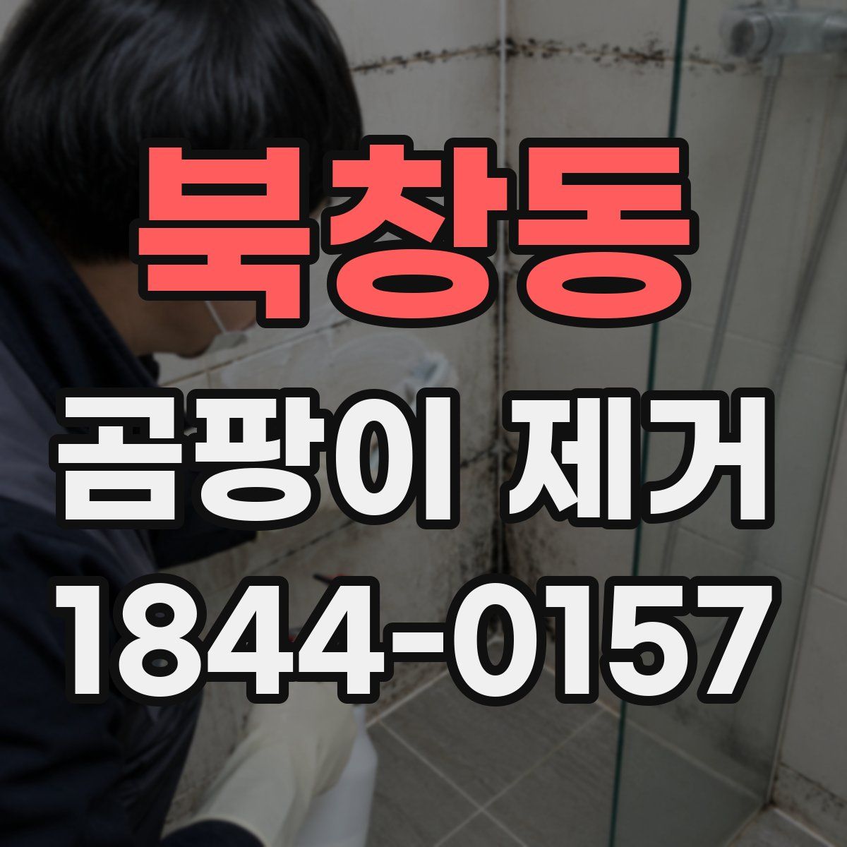 북창동 곰팡이 제거