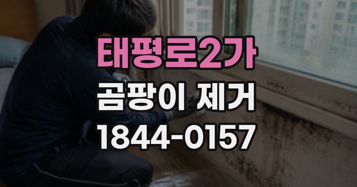 태평로2가 곰팡이 제거