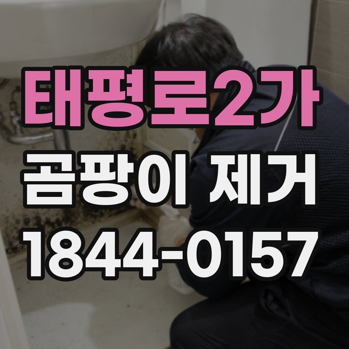 태평로2가 곰팡이 제거