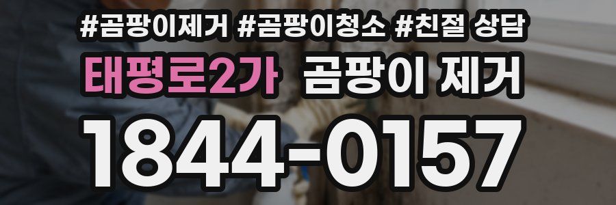 태평로2가 곰팡이 제거