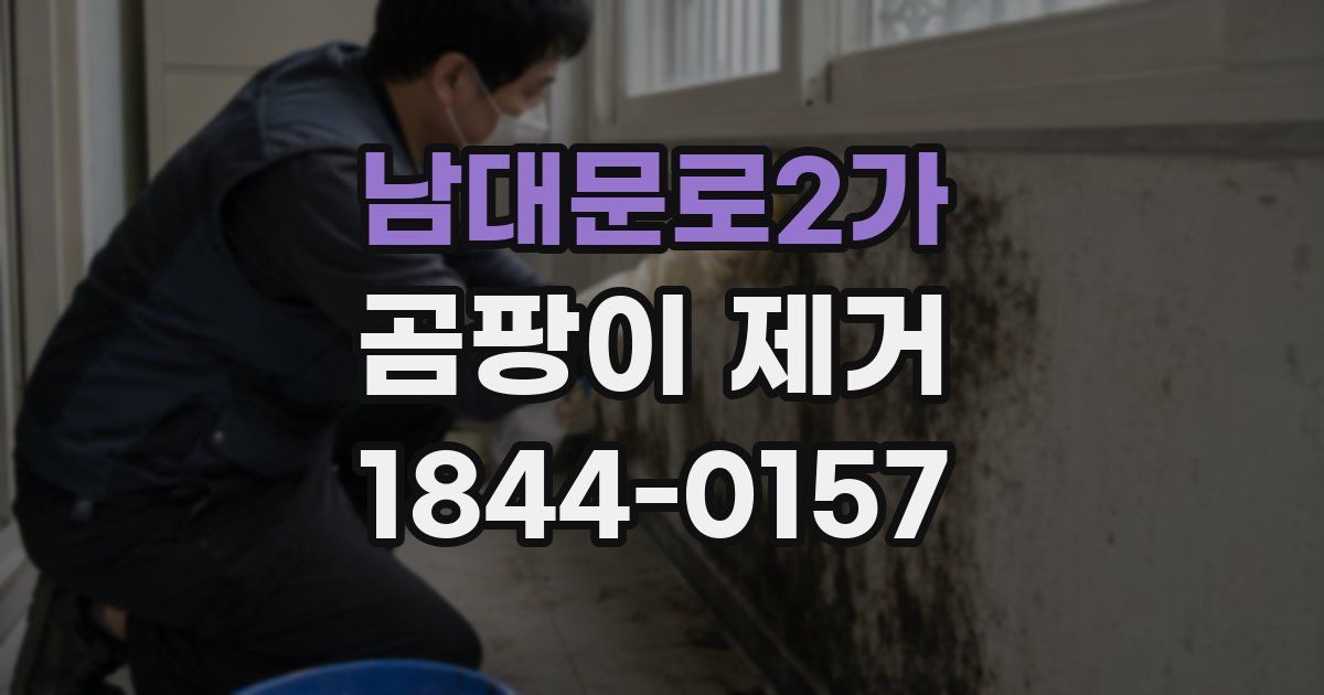 남대문로2가 곰팡이 제거