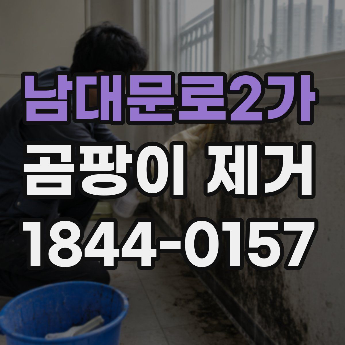 남대문로2가 곰팡이 제거