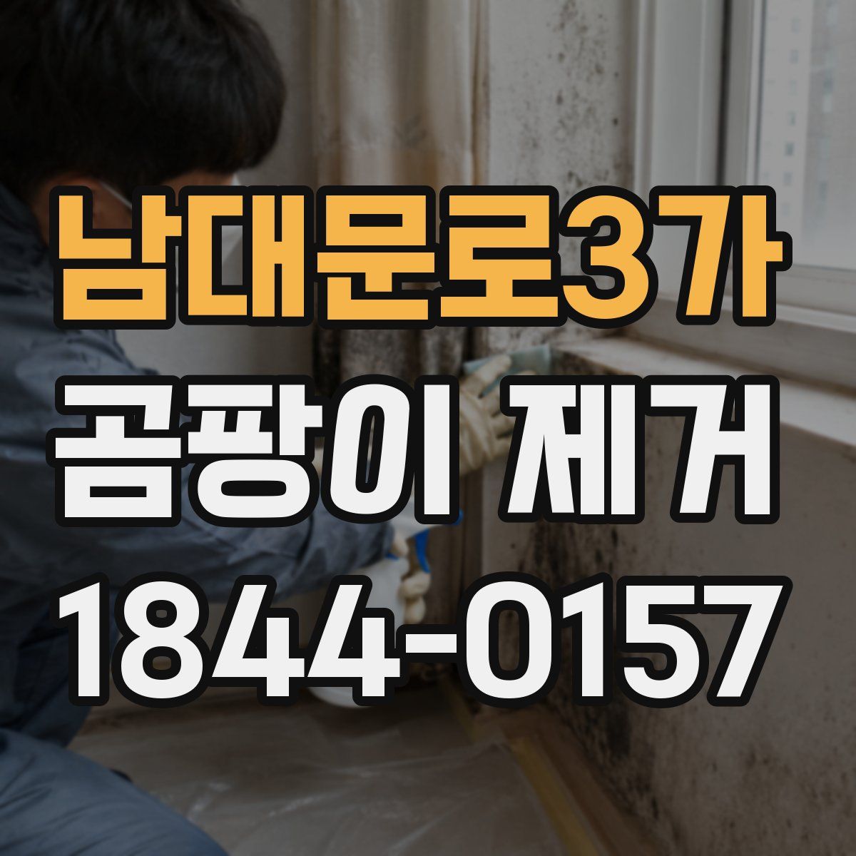 남대문로3가 곰팡이 제거