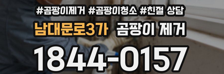 남대문로3가 곰팡이 제거