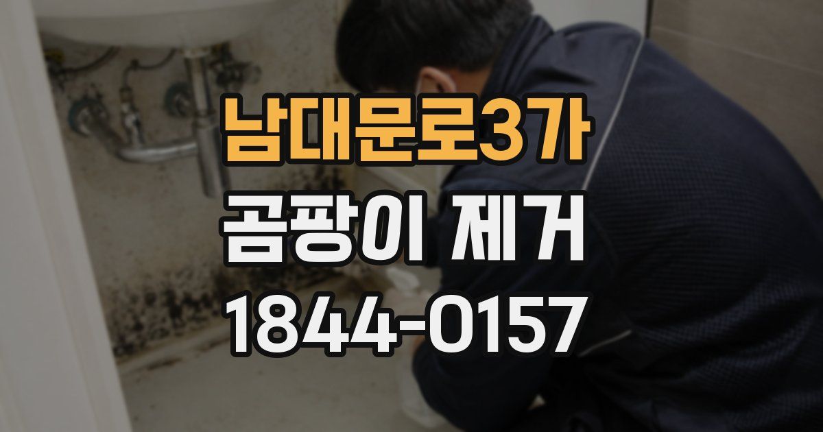 남대문로3가 곰팡이 제거