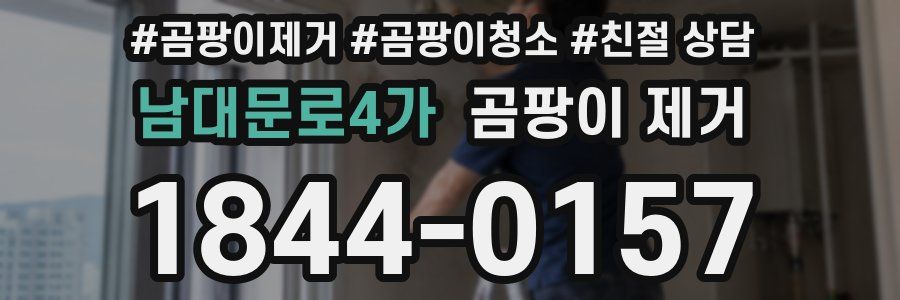 남대문로4가 곰팡이 제거