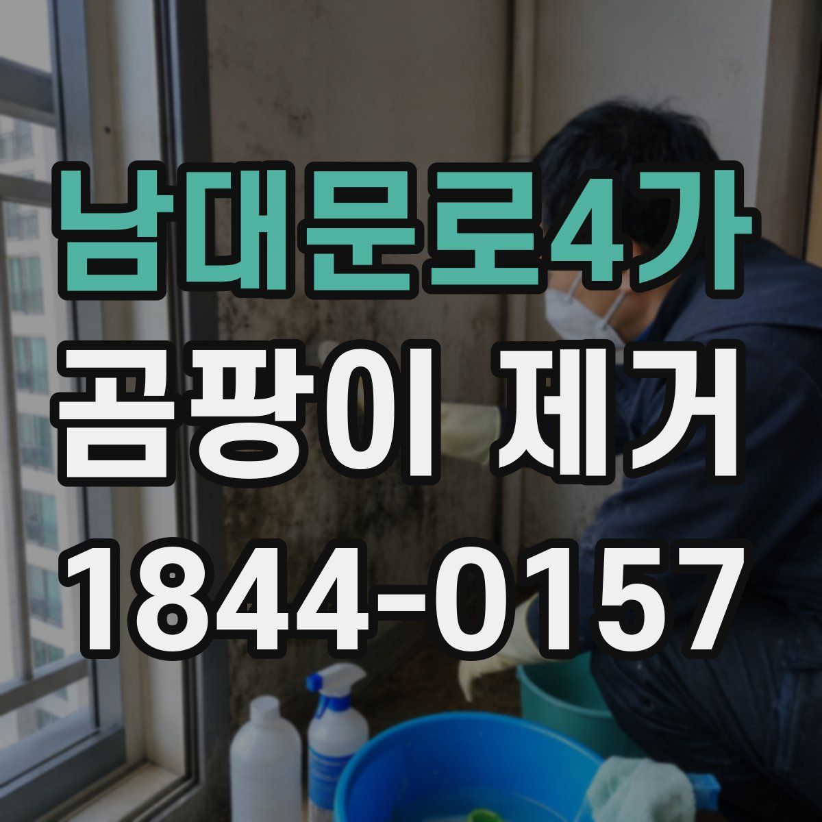 남대문로4가 곰팡이 제거