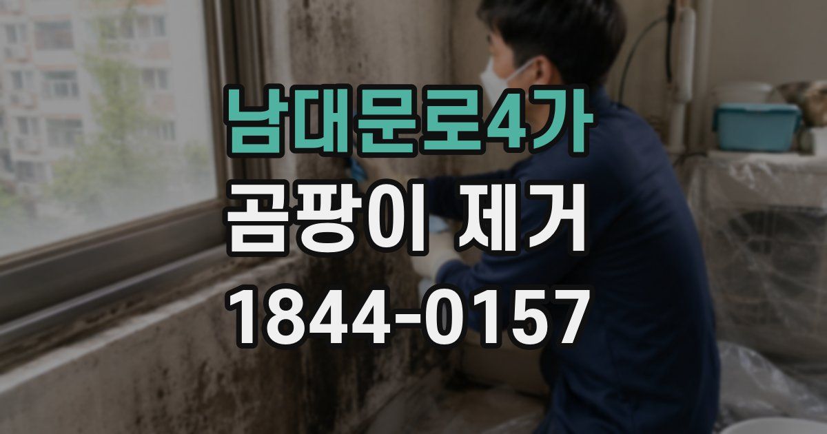 남대문로4가 곰팡이 제거