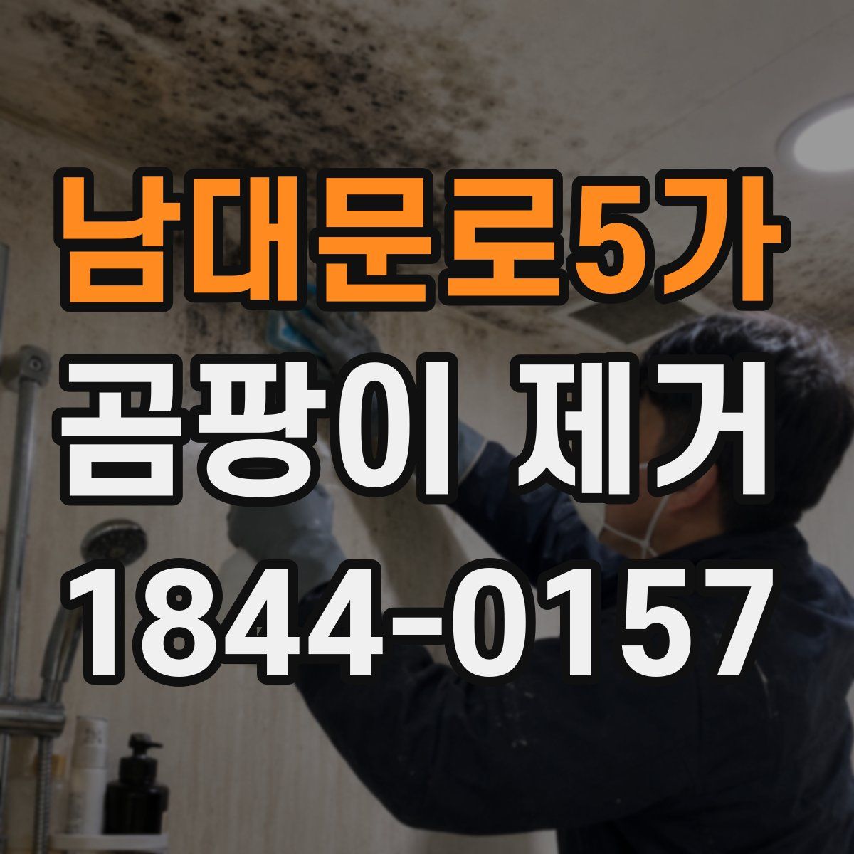 남대문로5가 곰팡이 제거
