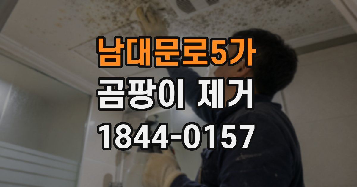 남대문로5가 곰팡이 제거