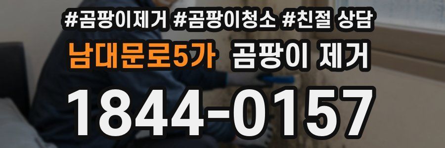 남대문로5가 곰팡이 제거