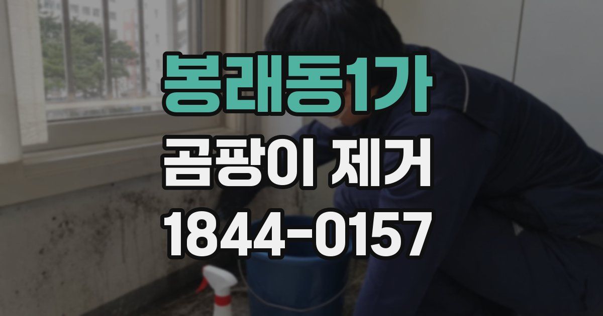 봉래동1가 곰팡이 제거