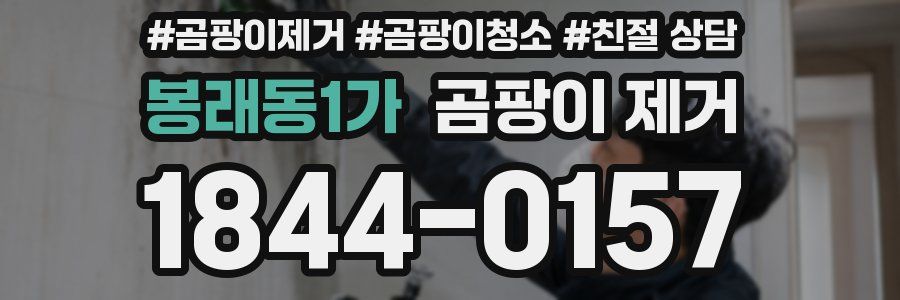 봉래동1가 곰팡이 제거