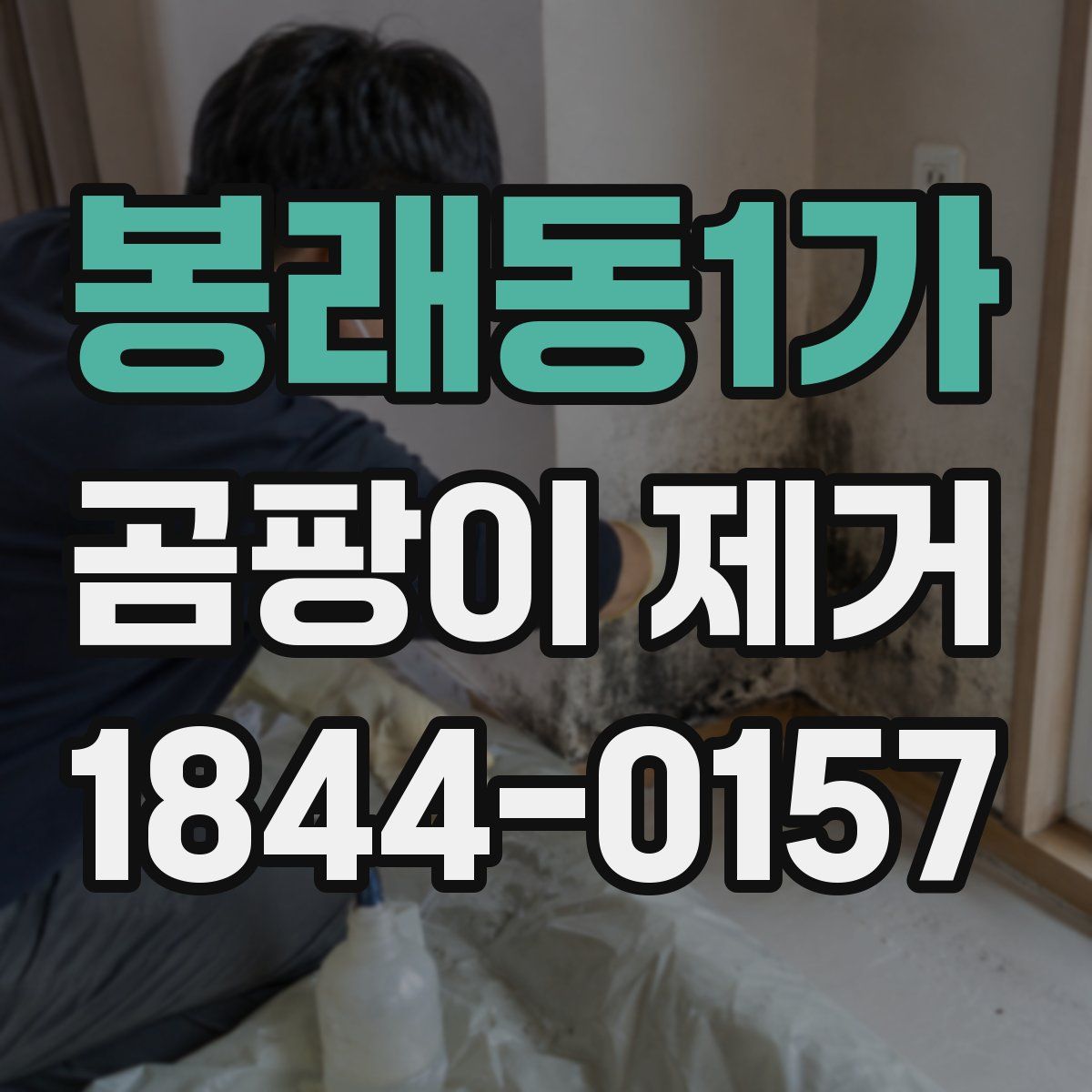 봉래동1가 곰팡이 제거
