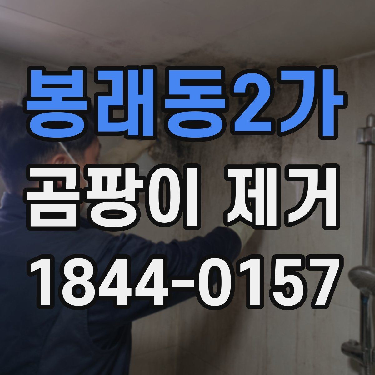 봉래동2가 곰팡이 제거 약품별 사용 주의사항 정리