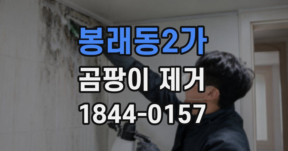 봉래동2가 곰팡이 제거