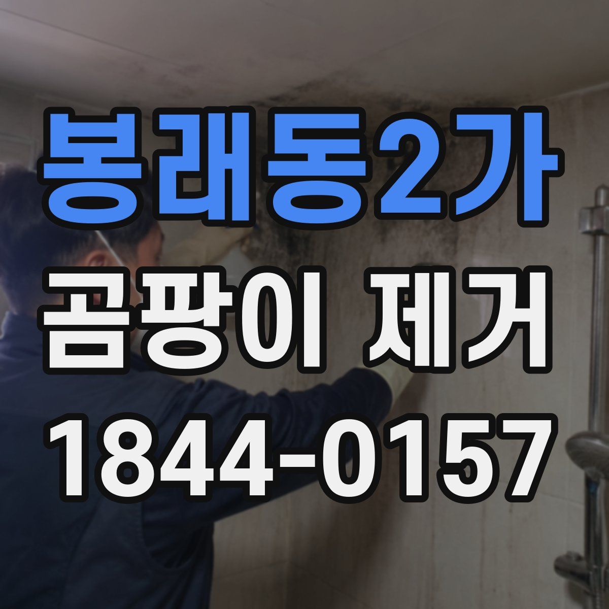 봉래동2가 곰팡이 제거