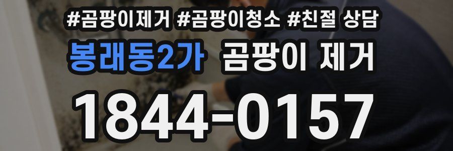 봉래동2가 곰팡이 제거