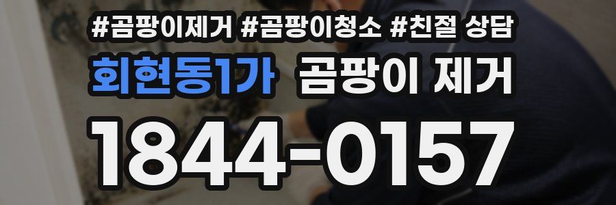 회현동1가 곰팡이 제거