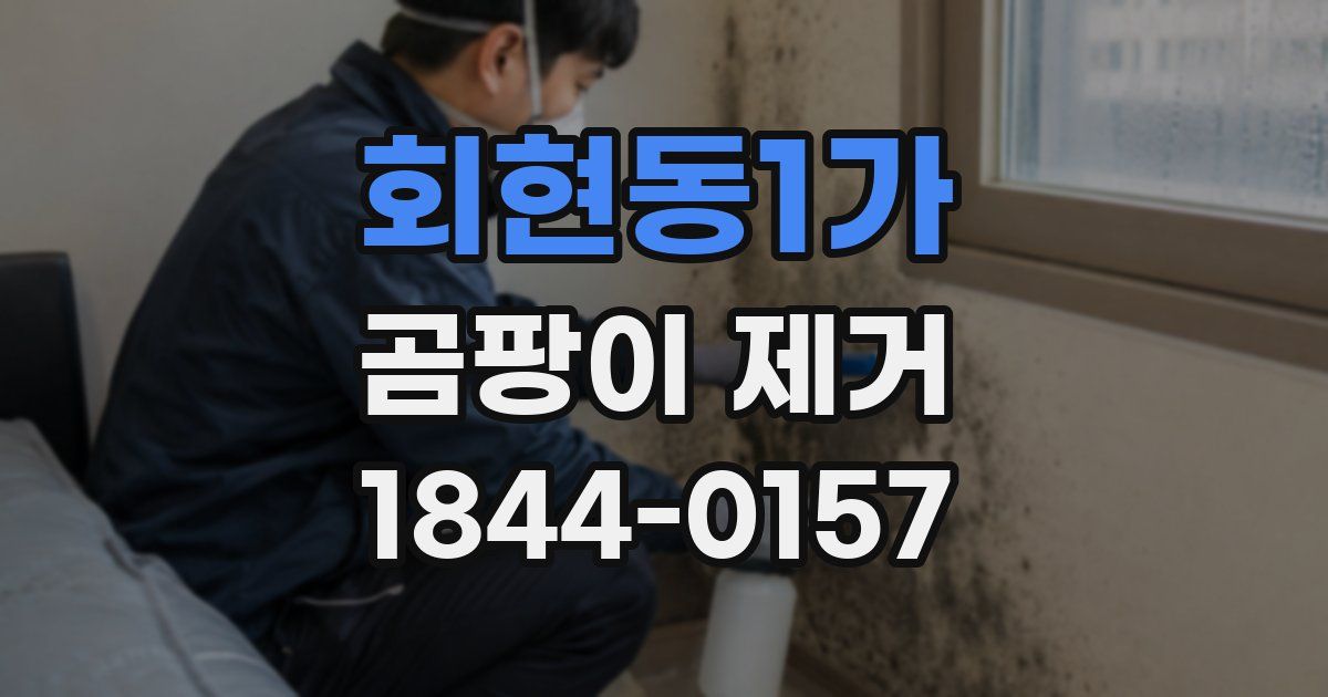회현동1가 곰팡이 제거