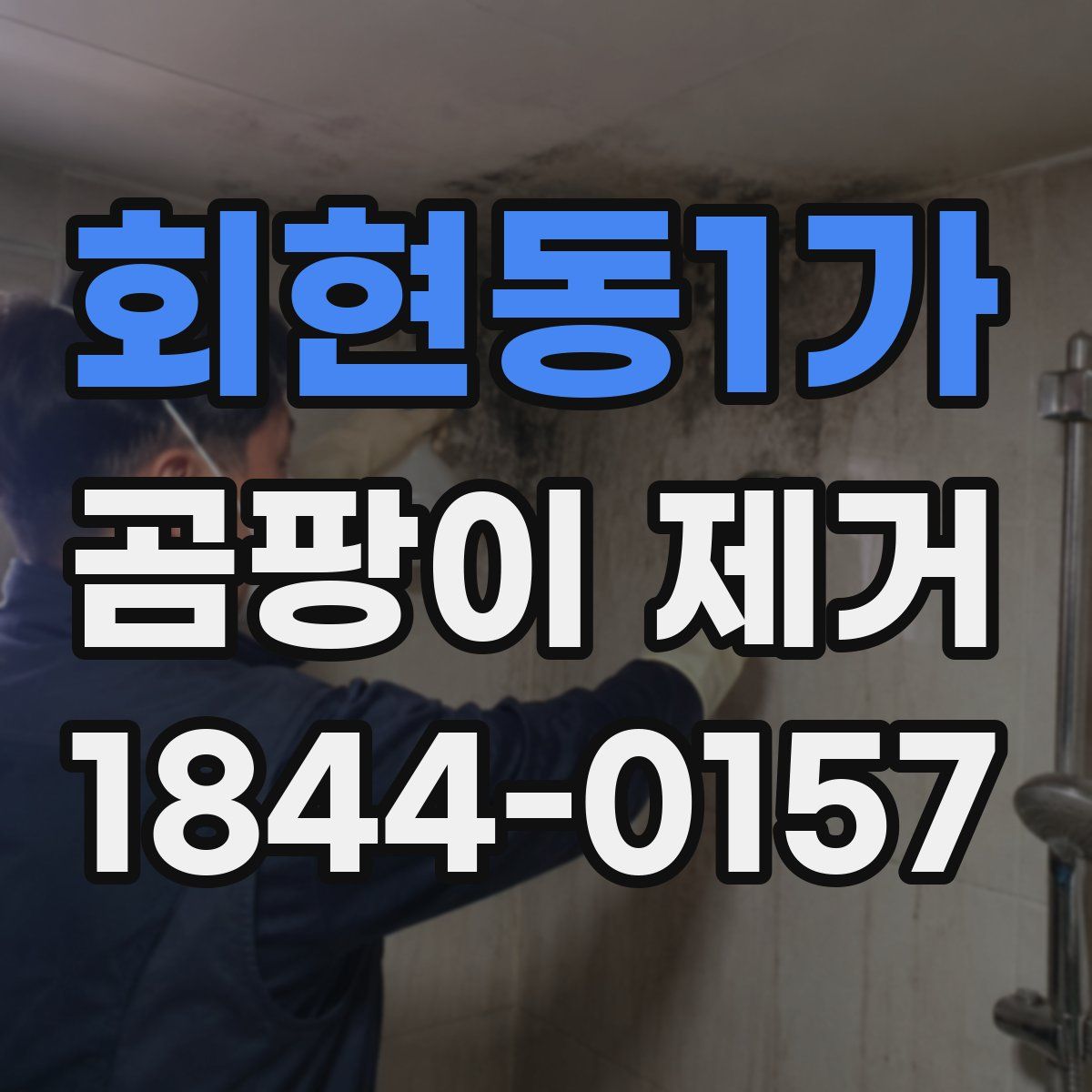 회현동1가 곰팡이 제거