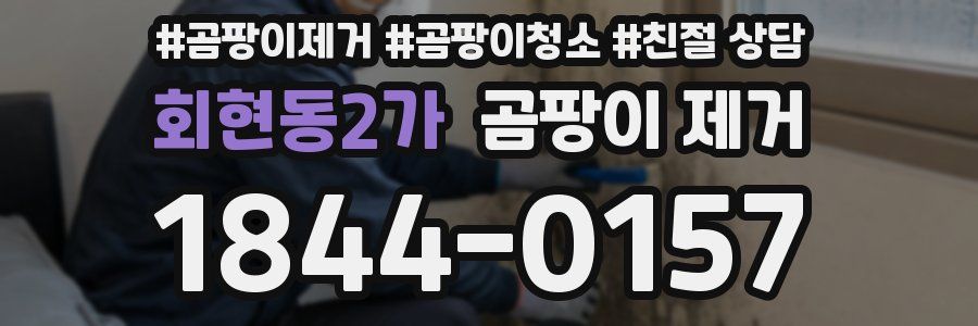 회현동2가 곰팡이 제거