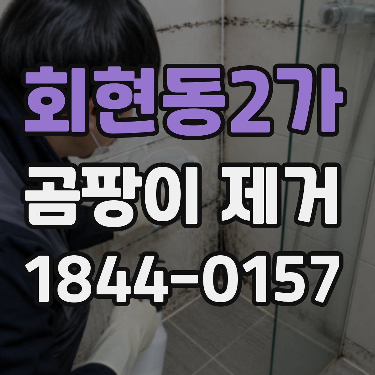 회현동2가 곰팡이 제거