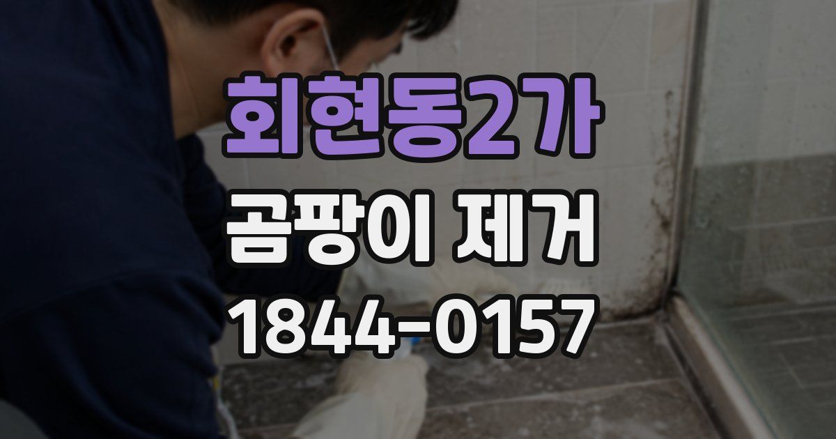 회현동2가 곰팡이 제거