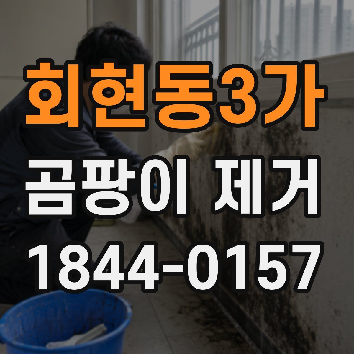 회현동3가 곰팡이 제거