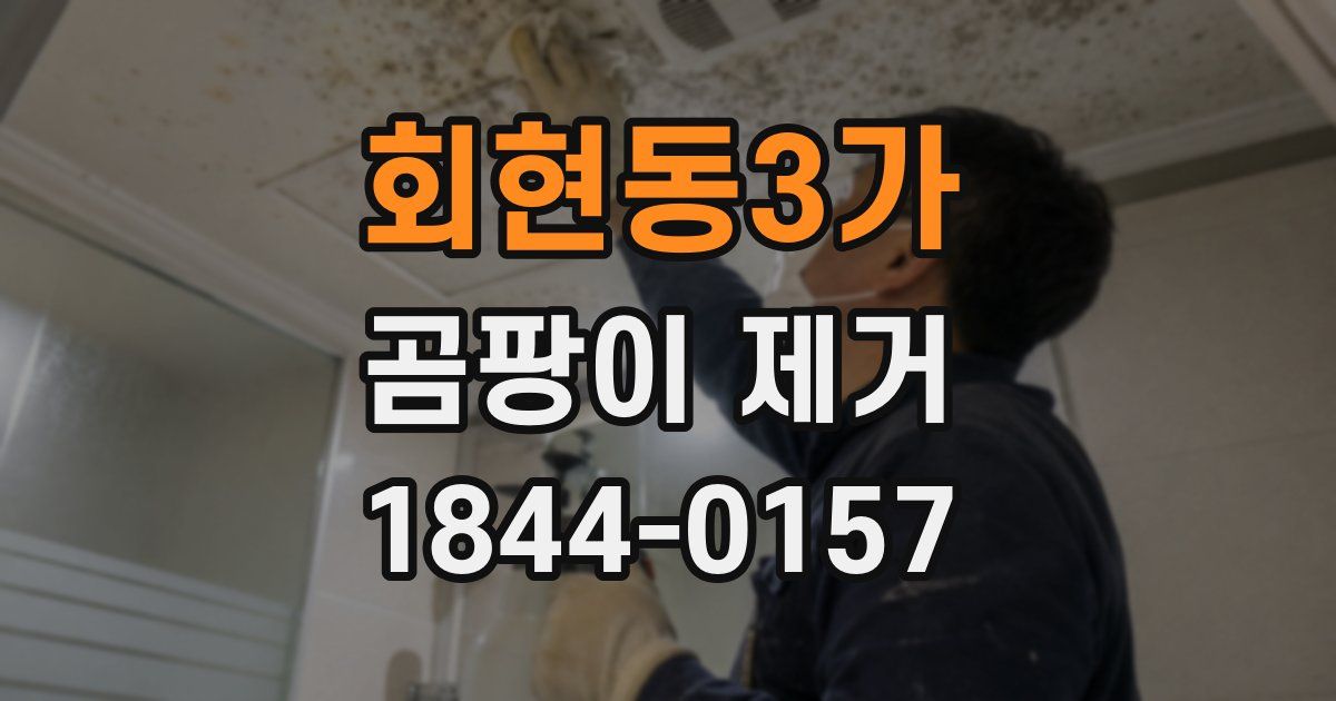 회현동3가 곰팡이 제거