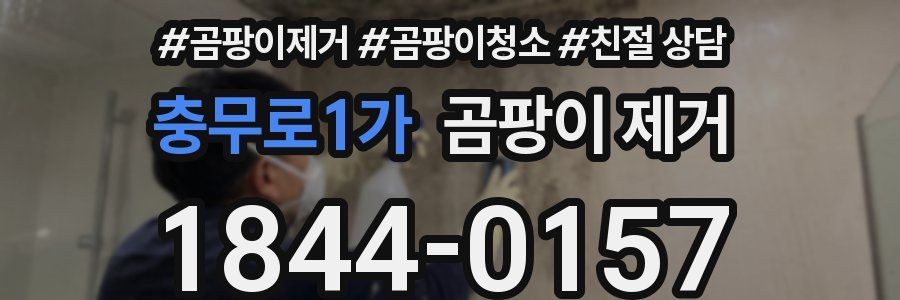 충무로1가 곰팡이 제거