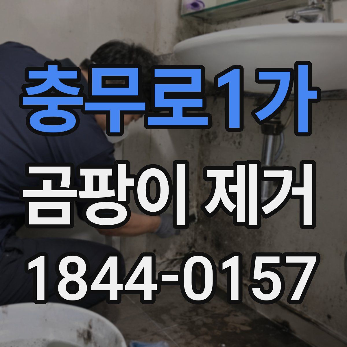 충무로1가 곰팡이 제거