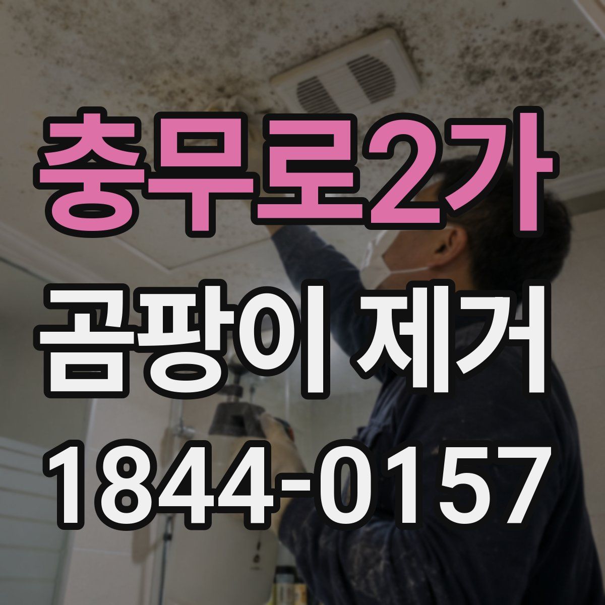 충무로2가 곰팡이 제거