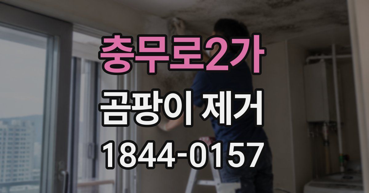 충무로2가 곰팡이 제거