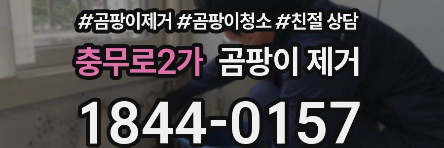 충무로2가 곰팡이 제거