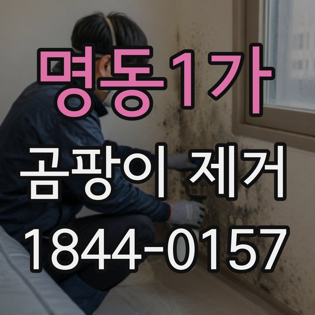 명동1가 곰팡이 제거 겨울철 실내 관리에 필요한 기본