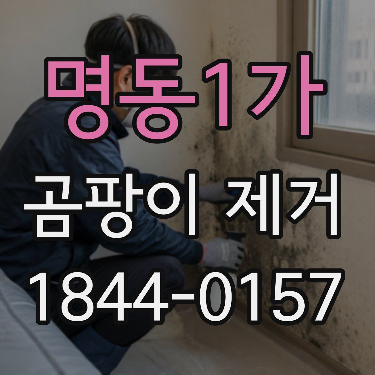 명동1가 곰팡이 제거
