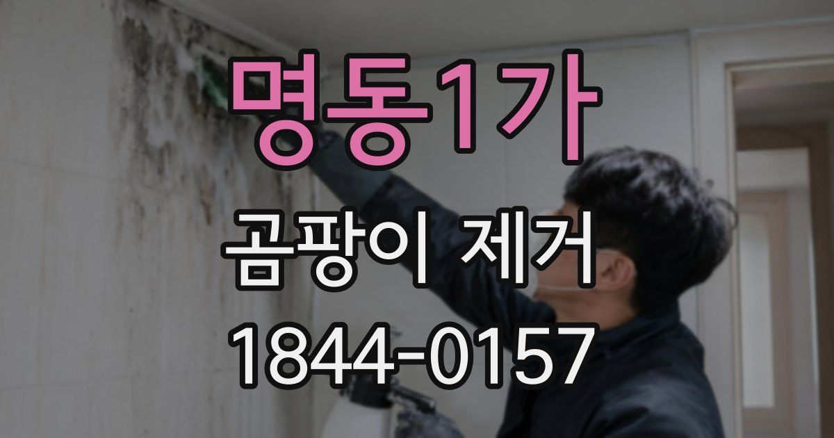 명동1가 곰팡이 제거