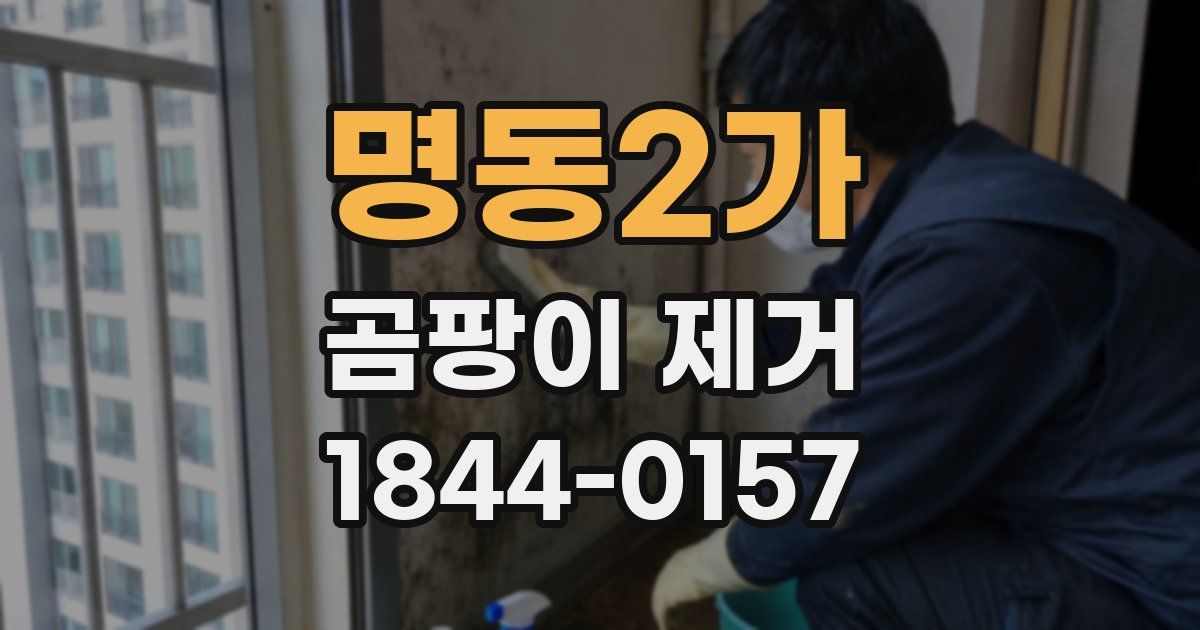 명동2가 곰팡이 제거