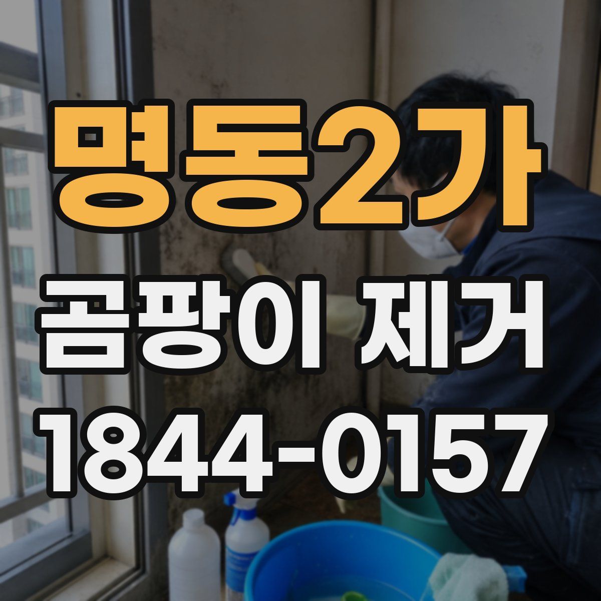 명동2가 곰팡이 제거