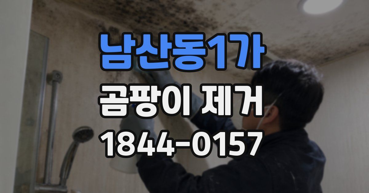 남산동1가 곰팡이 제거