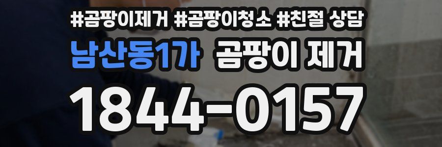 남산동1가 곰팡이 제거