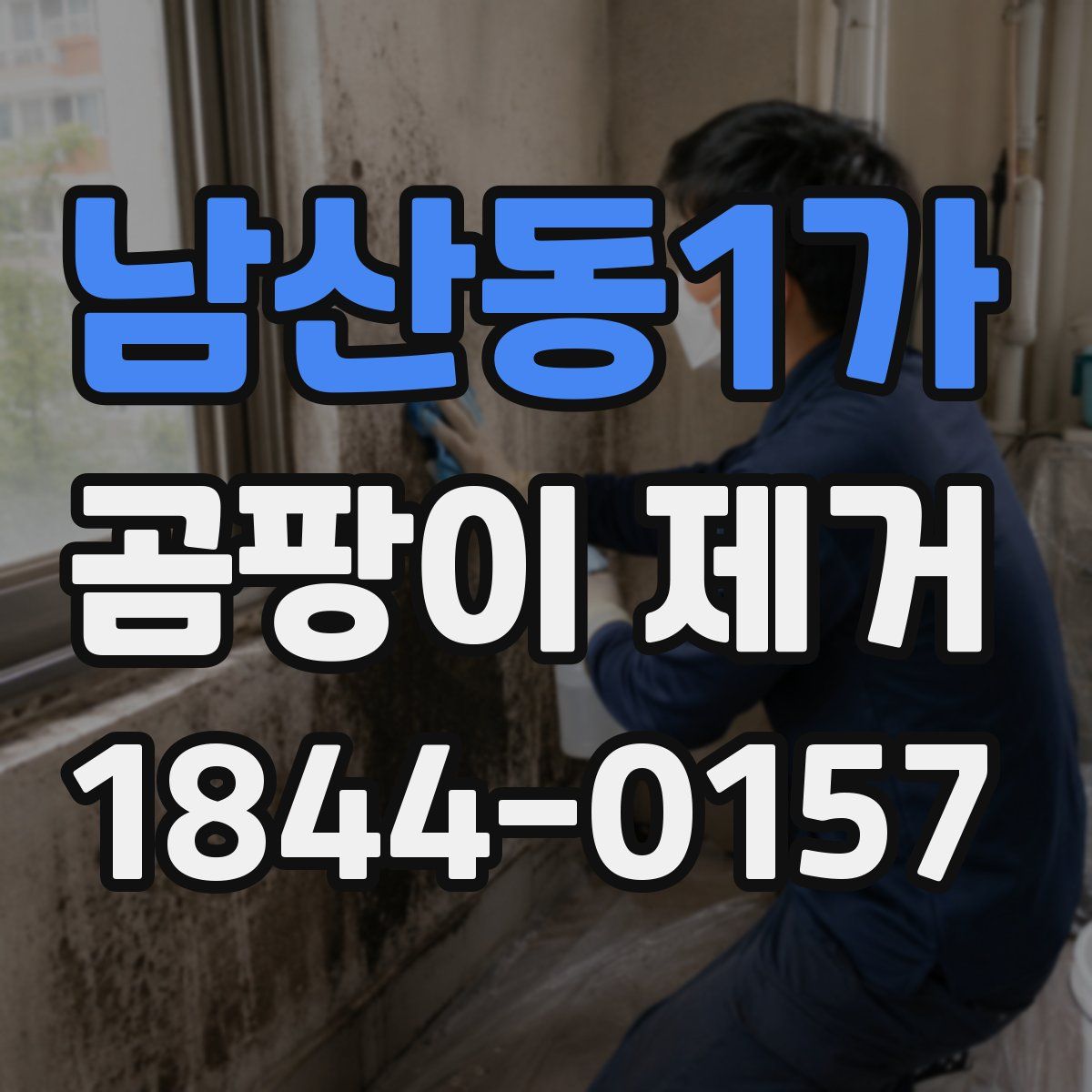 남산동1가 곰팡이 제거