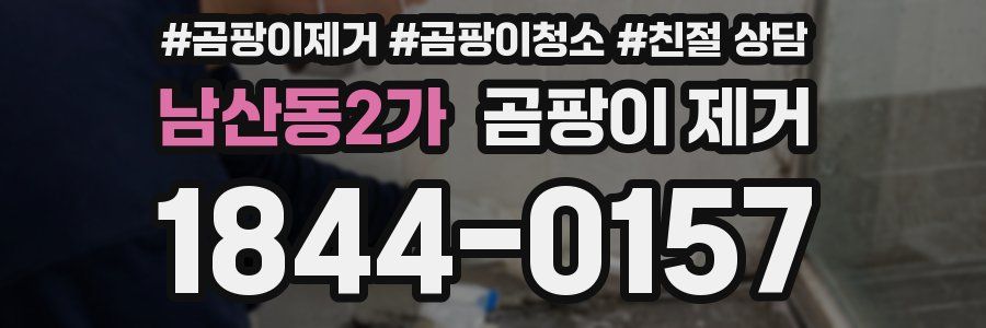남산동2가 곰팡이 제거